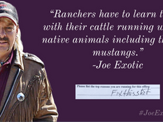Ranchers have to learn to live with their cattle running with the native animals.