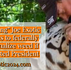 “Tiger King” Joe Exotic promises to federally decriminalize weed if he's elected President.