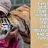 Joe Exotic: In solitary confinement. Cruel and unusual punishment.