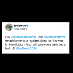 Joe Exotic Taunts Trump From Prison: 'I Will Save You A Bunk And A Bed Roll'