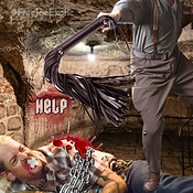 Help Joe Exotic the Tiger King