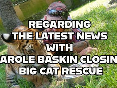 REGARDING THE LATEST NEWS WITH CAROLE BASKIN CLOSING BIG CAT RESCUE AND MAKING A DEAL WITH TURPENTIN