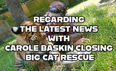 REGARDING THE LATEST NEWS WITH CAROLE BASKIN CLOSING BIG CAT RESCUE AND MAKING A DEAL WITH TURPENTIN