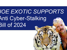 Anti Cyber Stalking Bill 2024