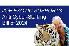 Anti Cyber Stalking Bill 2024