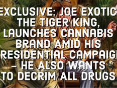 EXCLUSIVE: Joe Exotic, The Tiger King, Launches Cannabis Brand Amid His Presidential Campaign