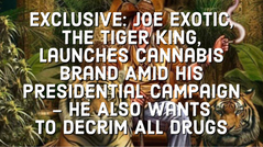 EXCLUSIVE: Joe Exotic, The Tiger King, Launches Cannabis Brand Amid His Presidential Campaign
